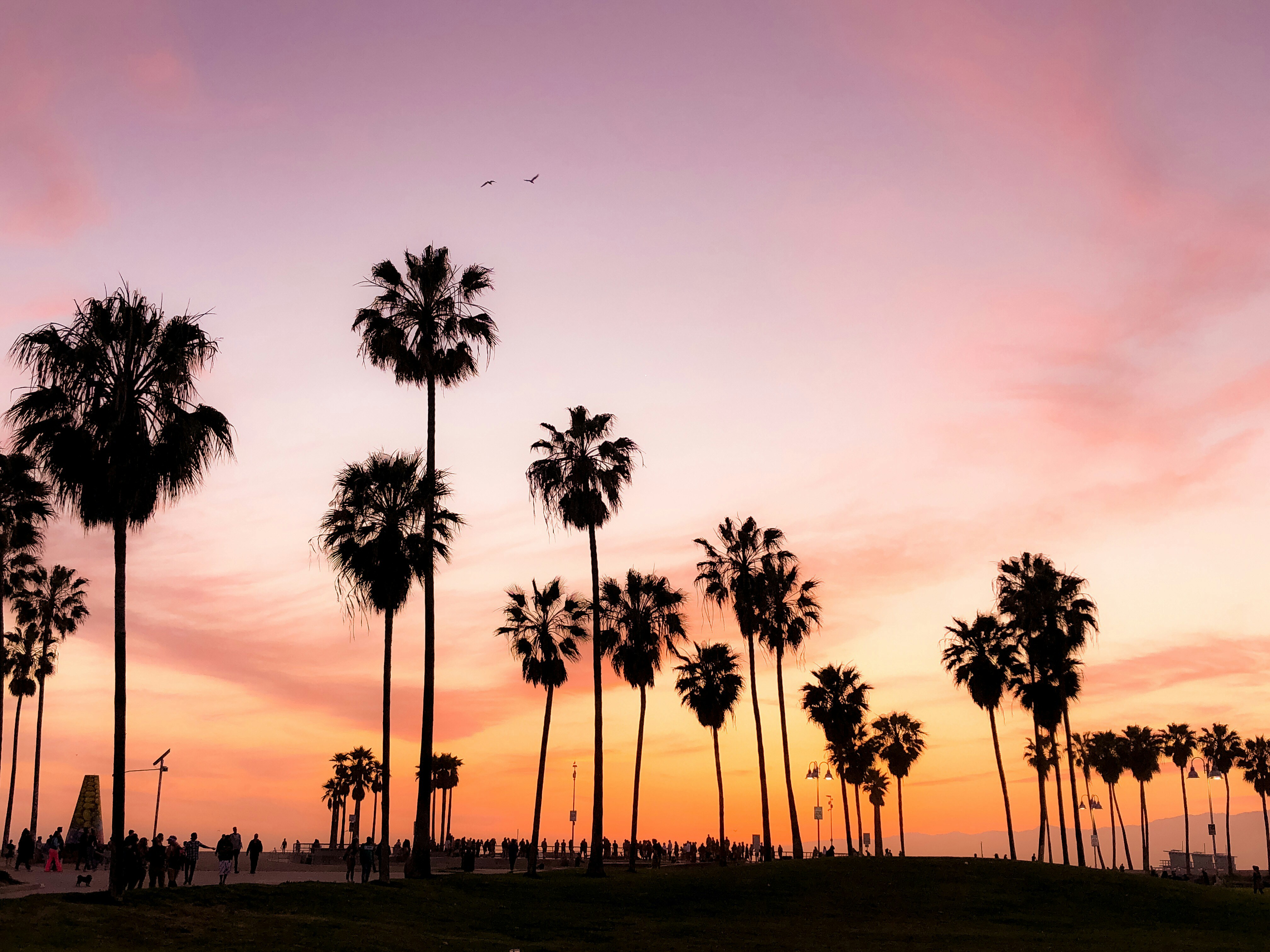California Road Trip