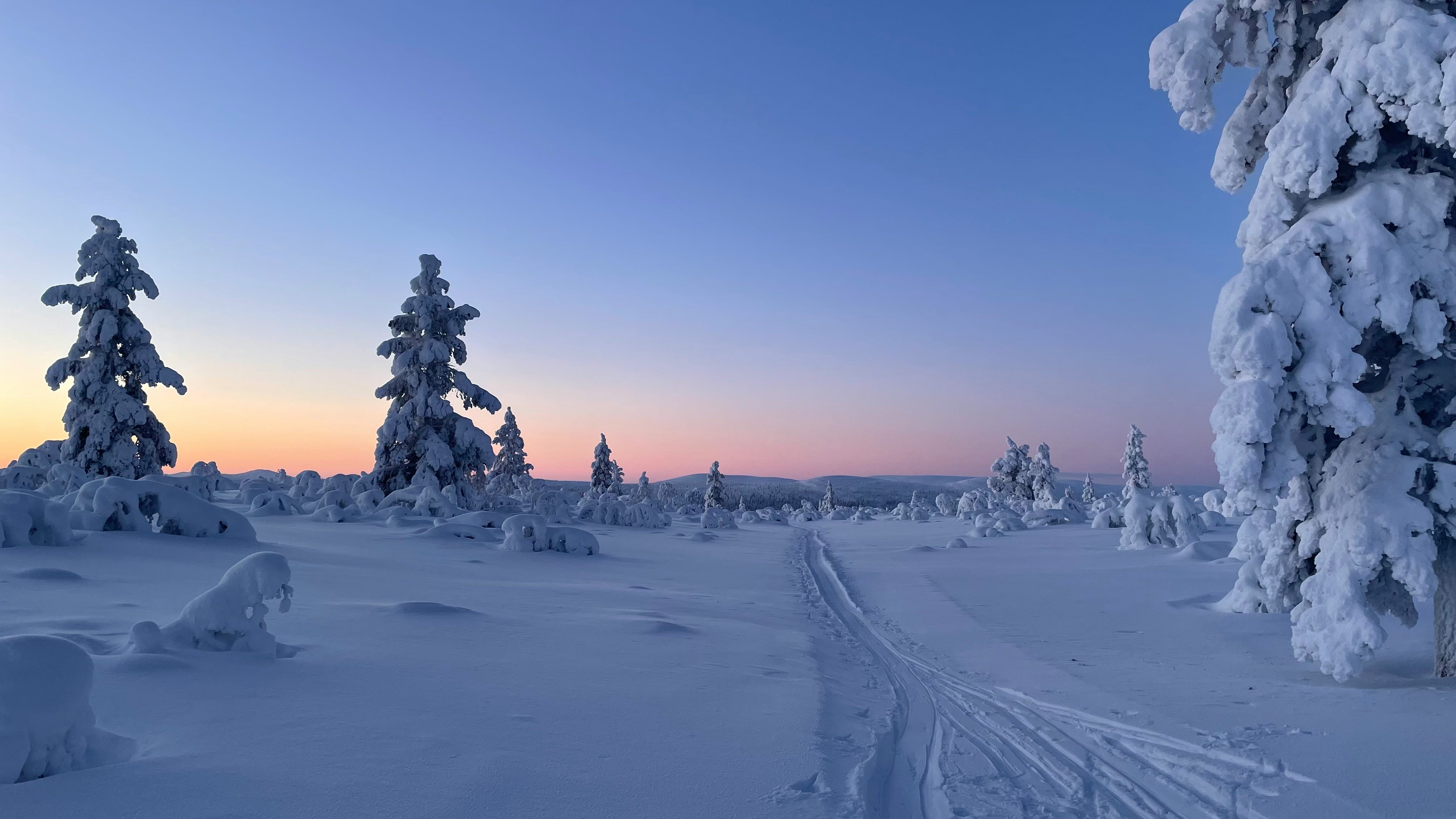 Lapponia Expedition