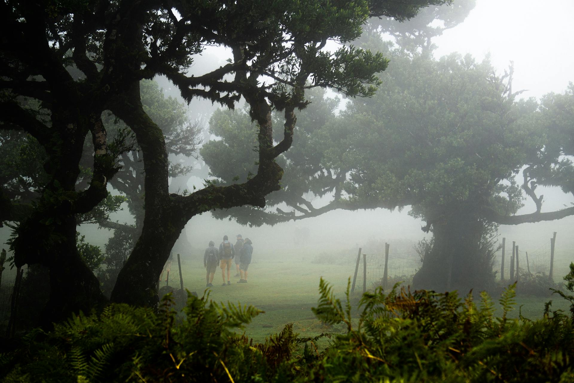 Madeira